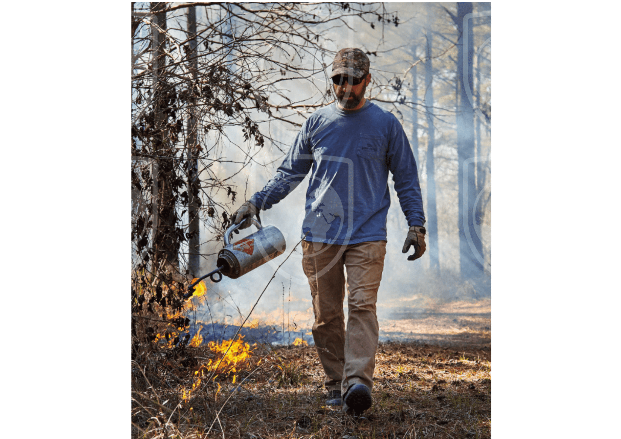 Black and red Realistic Wildfire Natural Disaster Landscape Classroom Poster (10) (1)
