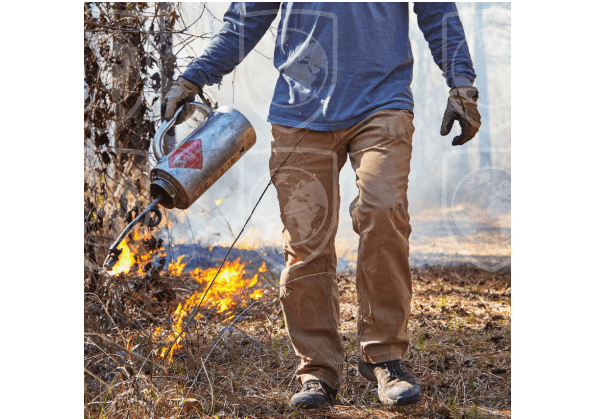 Black and red Realistic Wildfire Natural Disaster Landscape Classroom Poster (11) (1)